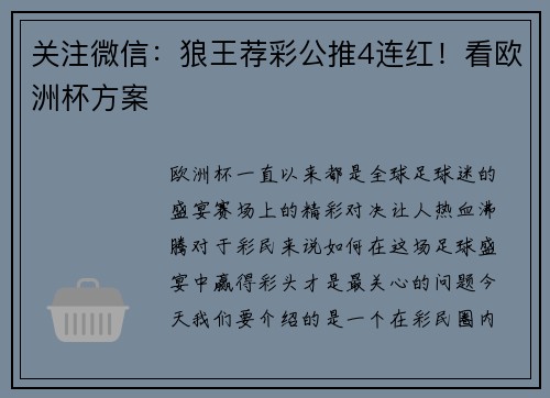 关注微信：狼王荐彩公推4连红！看欧洲杯方案