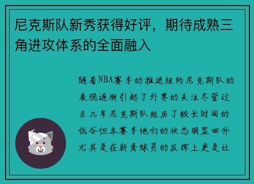 尼克斯队新秀获得好评，期待成熟三角进攻体系的全面融入