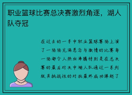 职业篮球比赛总决赛激烈角逐，湖人队夺冠