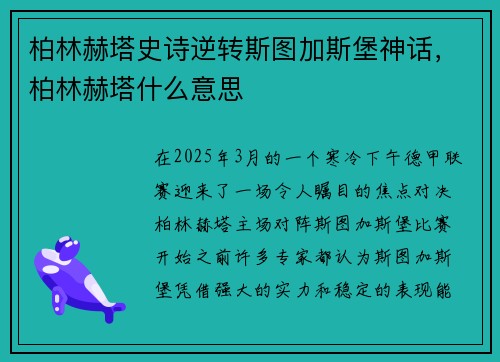 柏林赫塔史诗逆转斯图加斯堡神话，柏林赫塔什么意思