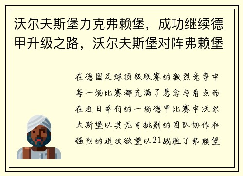 沃尔夫斯堡力克弗赖堡，成功继续德甲升级之路，沃尔夫斯堡对阵弗赖堡