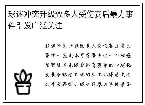 球迷冲突升级致多人受伤赛后暴力事件引发广泛关注