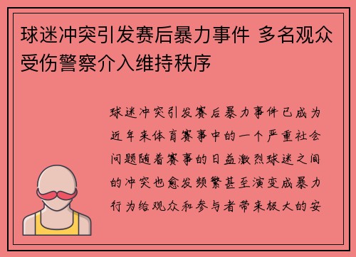 球迷冲突引发赛后暴力事件 多名观众受伤警察介入维持秩序